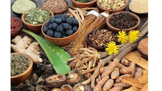 Adaptogens 101: Natural Stress Relief for Yoga & Pilates